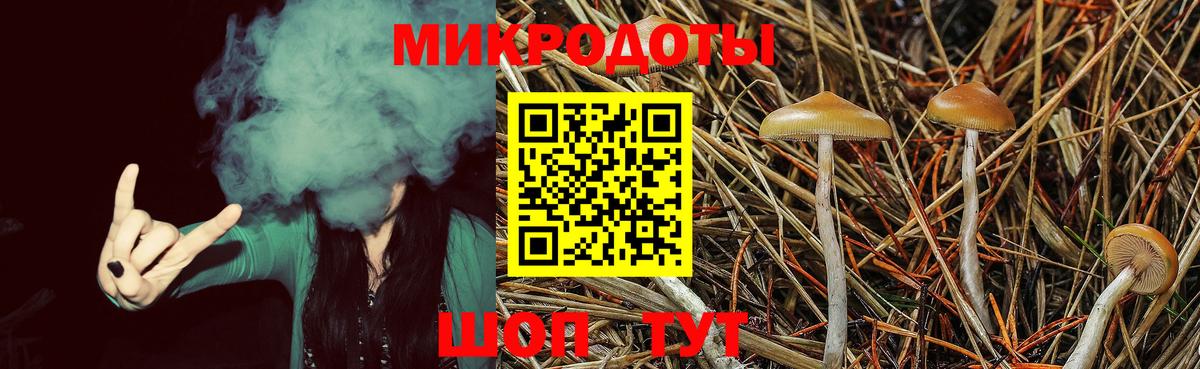 Калуга  Галлюциногенные грибы Psilocybine cubensis  Вход с VPN  Галлюциногенные грибы Magic Shrooms 
