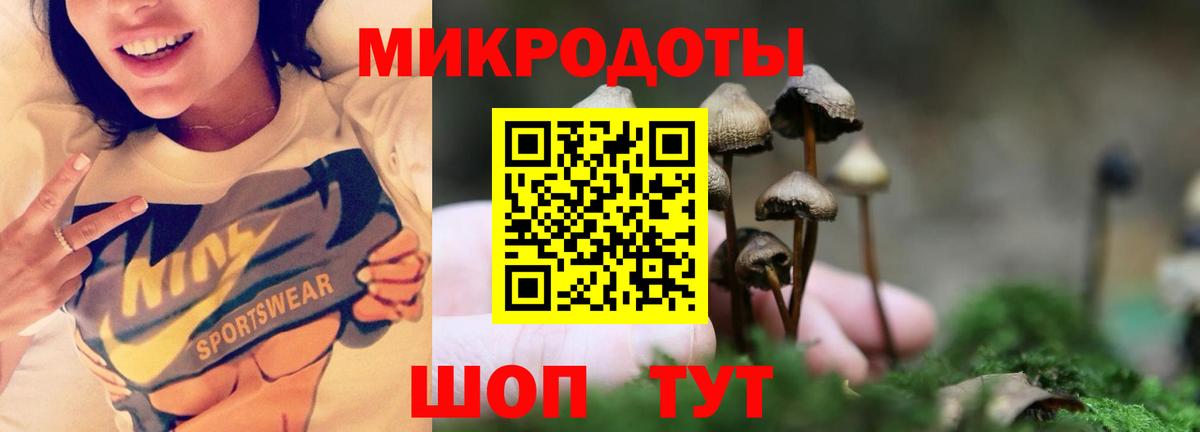 Псилоцибиновые грибы GOLDEN TEACHER Калуга